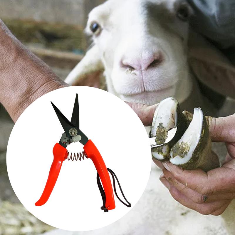Sheep Hoof Trimmers Shrub Plan - Woodworking Horse recension och pris