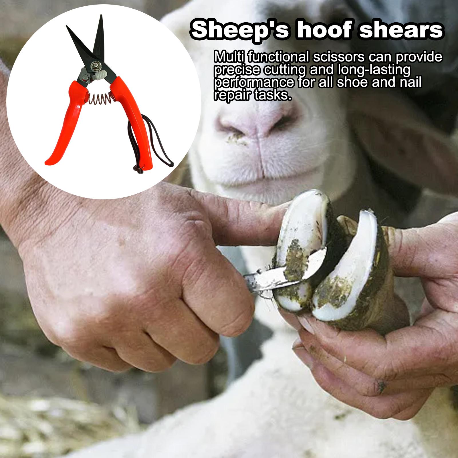 Goat Hoof Trimmer Ergonomic Sh - Woodworking Horse recension och pris