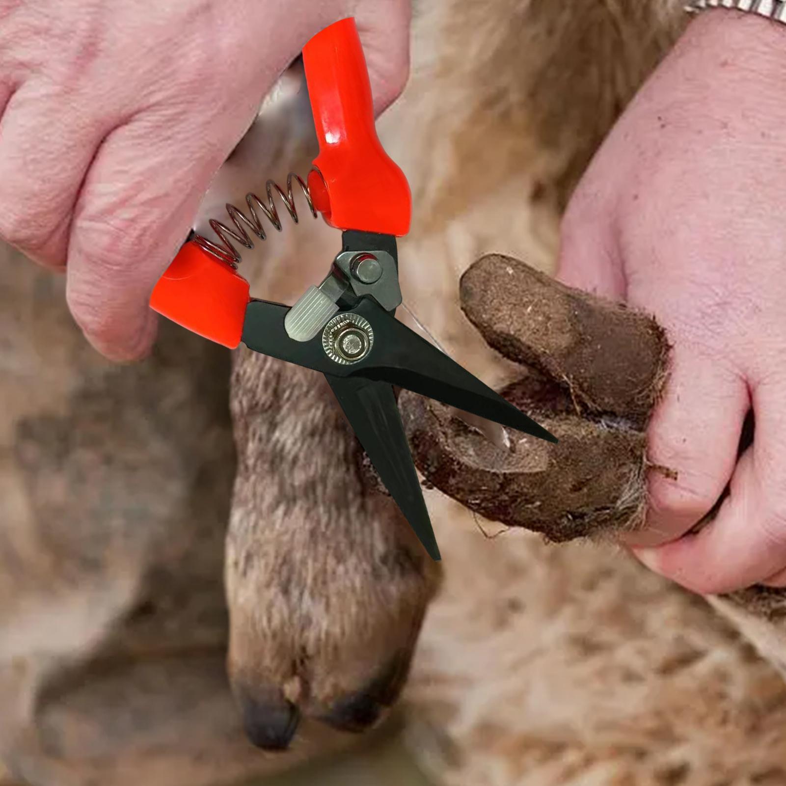 Goat Hoof Trimmer Ergonomic Sh - Woodworking Horse recension och pris
