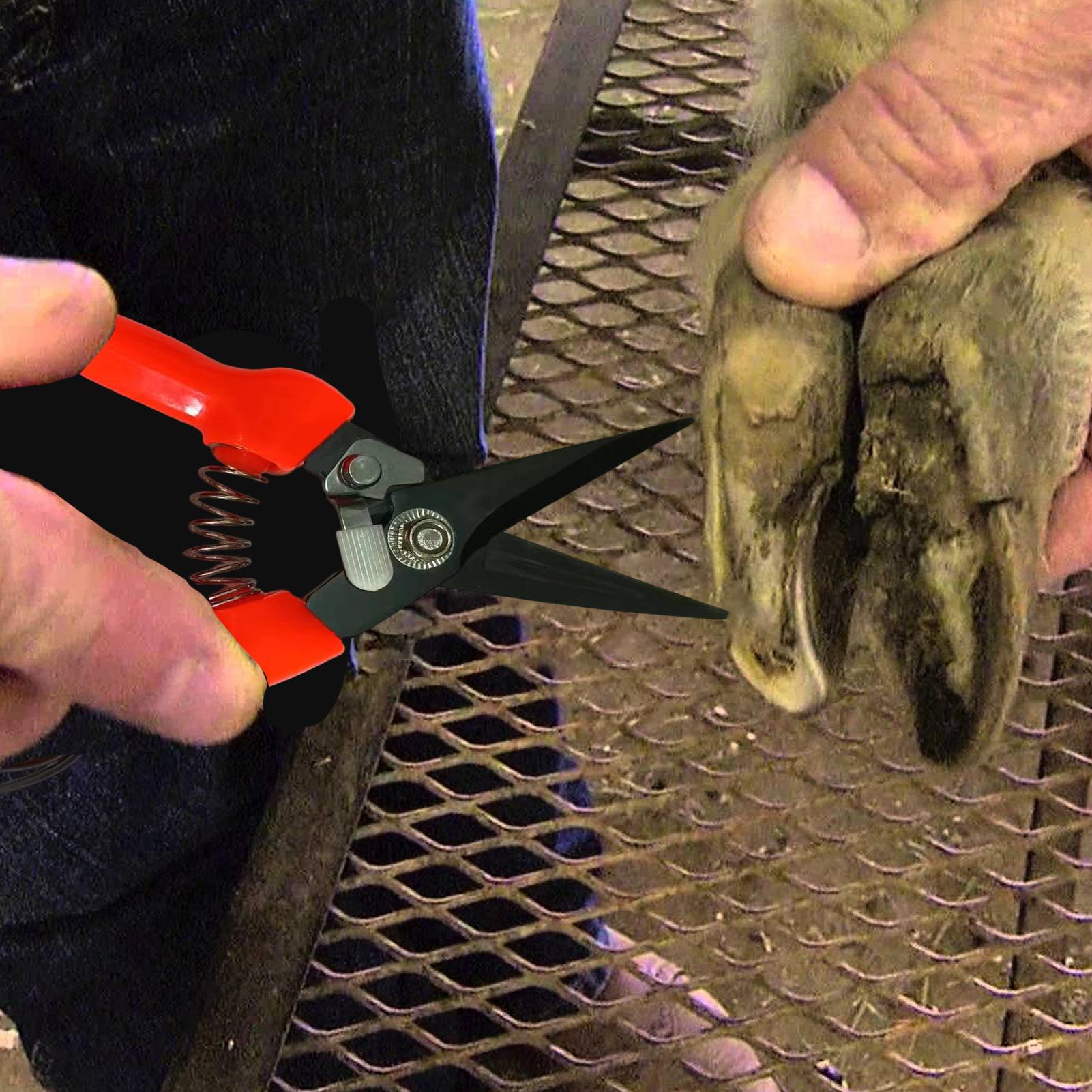 Goat Hoof Trimmer Ergonomic Sh - Woodworking Horse recension och pris