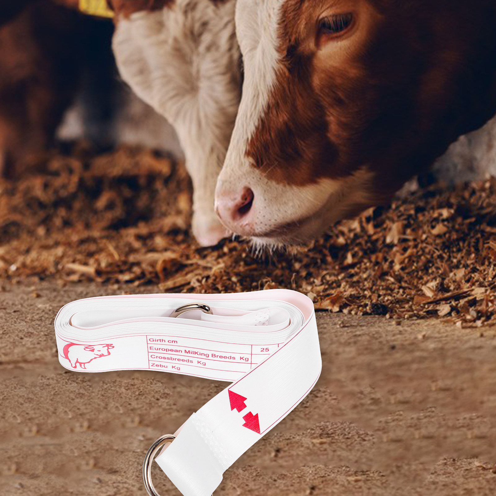 Animal Weight Tape Measure Liv - Woodworking Horse recension och pris